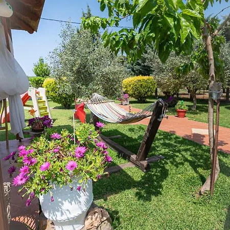 Apartman Frezia Complex - Frezia *