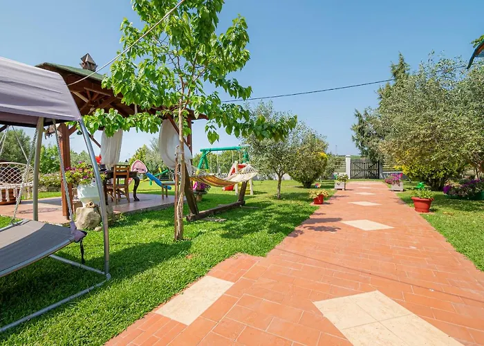 Frezia Complex - Frezia