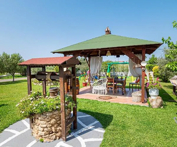 Frezia Complex - Frezia