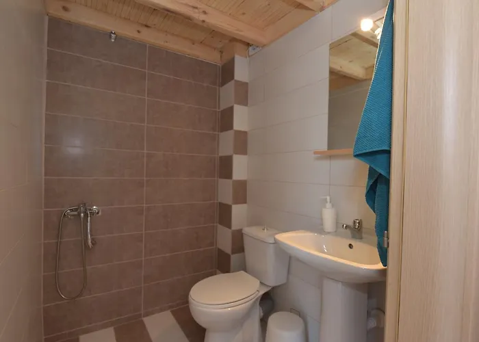 Frezia Complex - Frezia