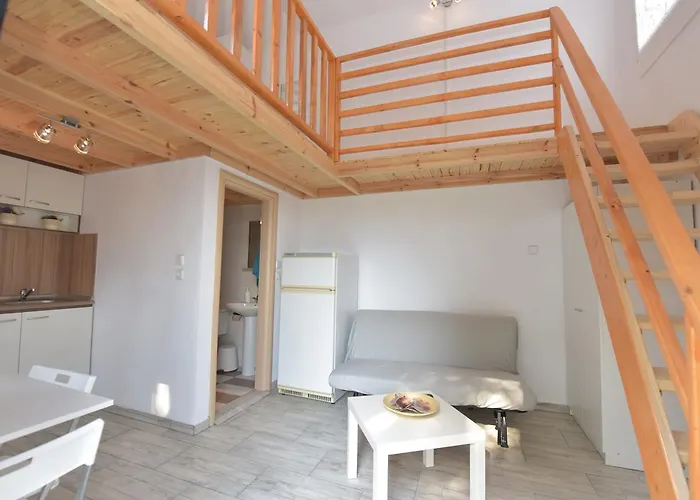 Frezia Complex - Frezia *