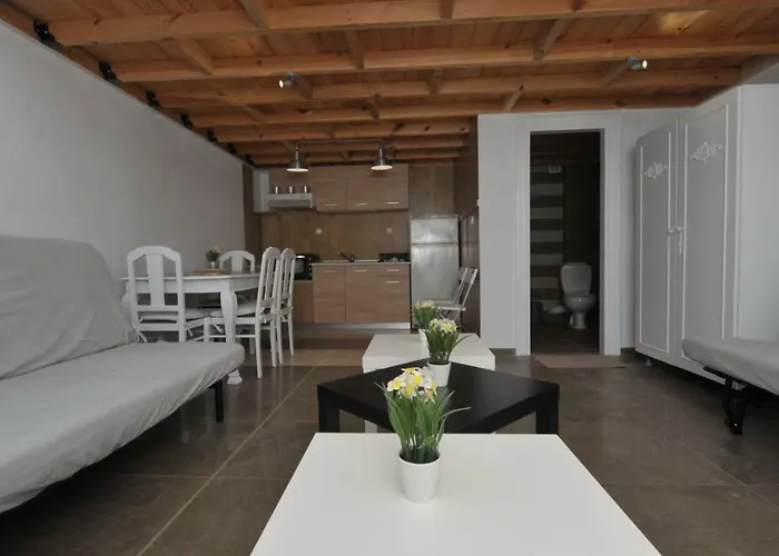 Frezia Complex - Frezia