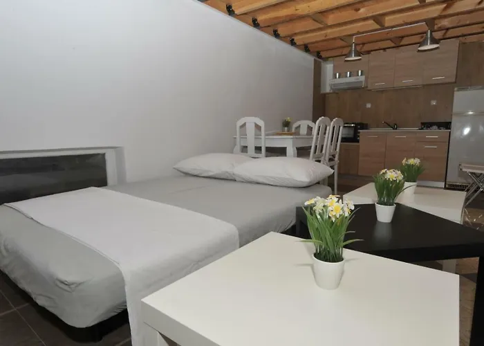 Frezia Complex - Frezia *